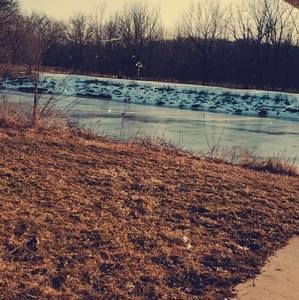 Meet your Posher, Nevaeh